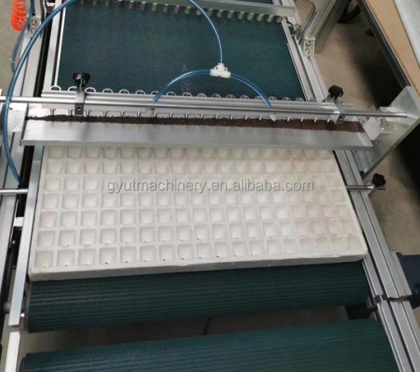 Manufacturing Plant Seeding Vegetable Seeds Sowing Machine with High Survival Rate