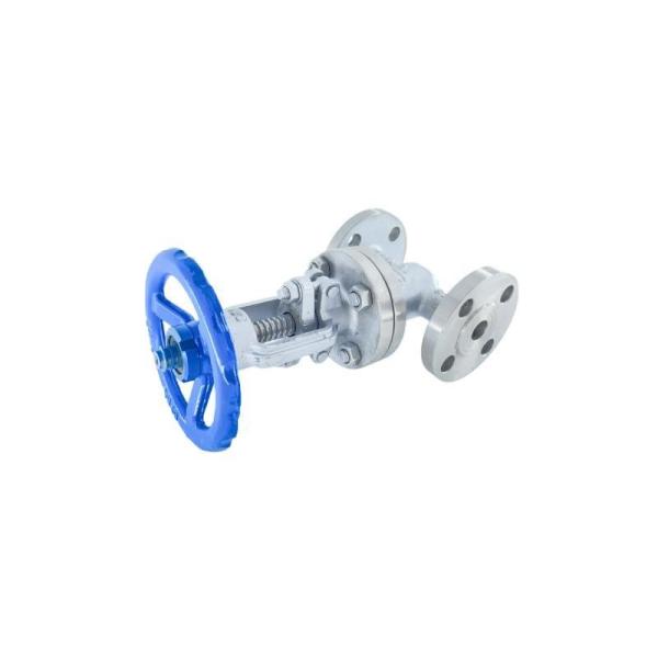 DN15-DN300 Z41W CF8 Stainless Steel Flanged Gate Valve with DN15-DN300 Size Options