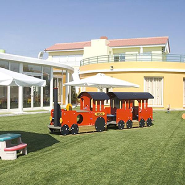 Erva artificial para paisagem recta e curva