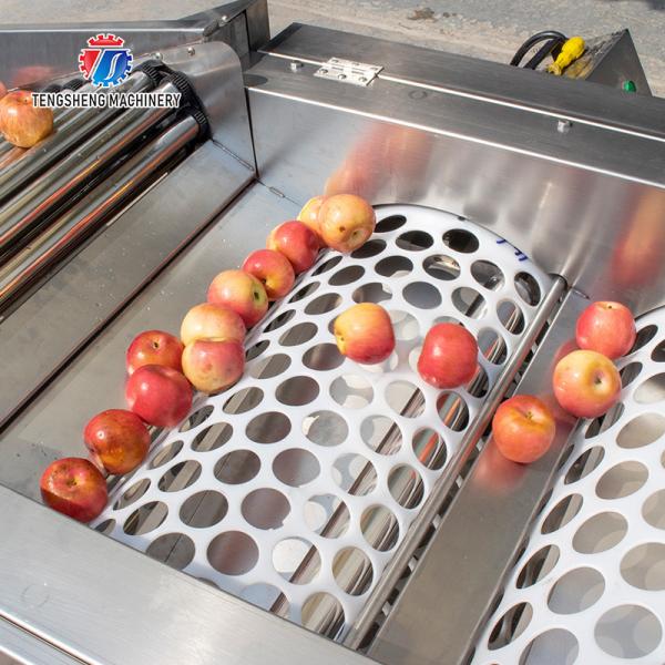 3KW 50HZ Fruit And Vegetable Processing Line Washing Sorting Machine