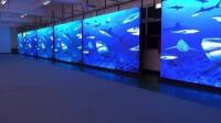 Events Rental Party Revolutionized by Dust-Proof Led Chip Epistar