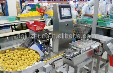 Industrial Grade Conveyor Belt Metal Detector Checkweigher Machine System JZ-W1200g