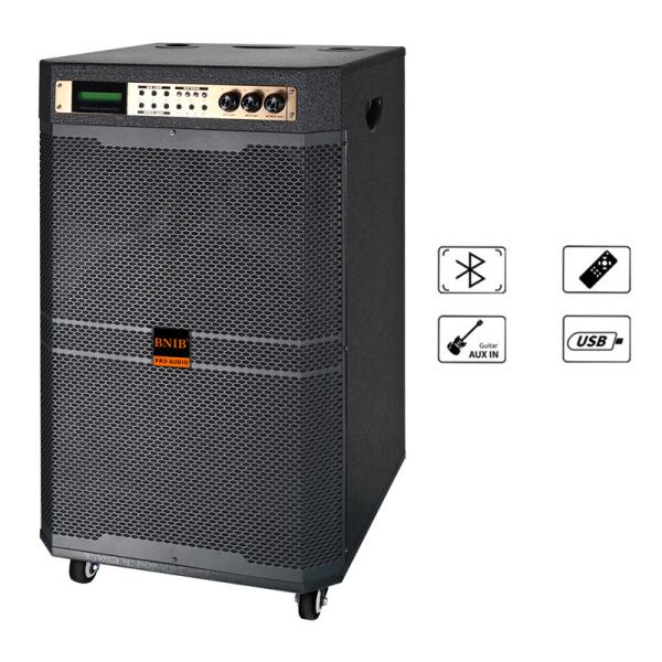 15 Inch Wooden Pre Amplified Speaker Karaoke Outdoor 1000 Watts Bluetooth USB Connect