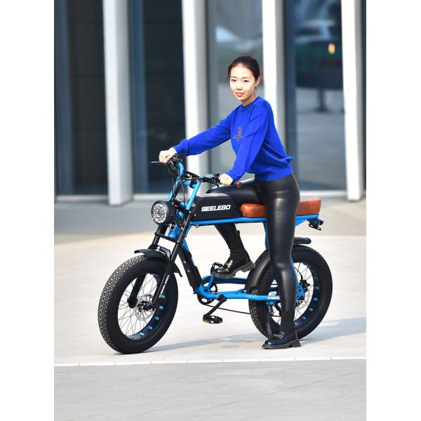 Digital Ebike Hub Motors Bicycle Electric Fat Tire Bike 7speed MTB E-bike Retro Electric Cycle 48V 500W 4.0 Inch Tire E Bike