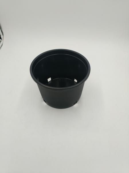 hard plastic 2 gallon plastic bucket plant watercress nutrition  pot