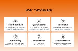 QUAN HE Lighting Co., Ltd.