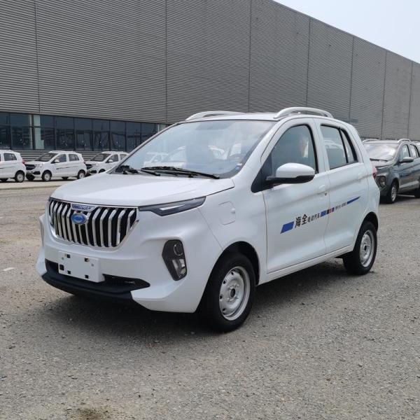 Raysince factory hot sales model 5 door electric car adult vehicle 4 Seats electric vehicles for sale