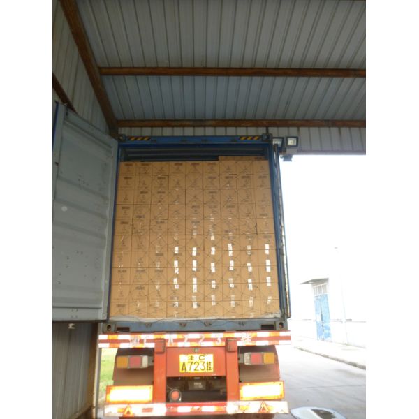 Medical Examination Powder Free Vinyl Gloves / Latex Free Vinyl Disposable Gloves Without Powder