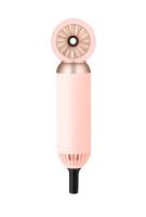 Puissance 800W portative faite sur commande de Logo Ionic Pet Hair Dryer universelle
