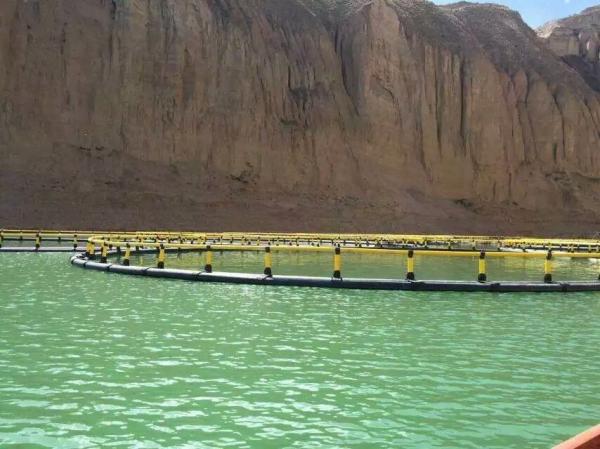Cajera de cría de peces de agua dulce Diámetro 10 m - 60 m Para estanque