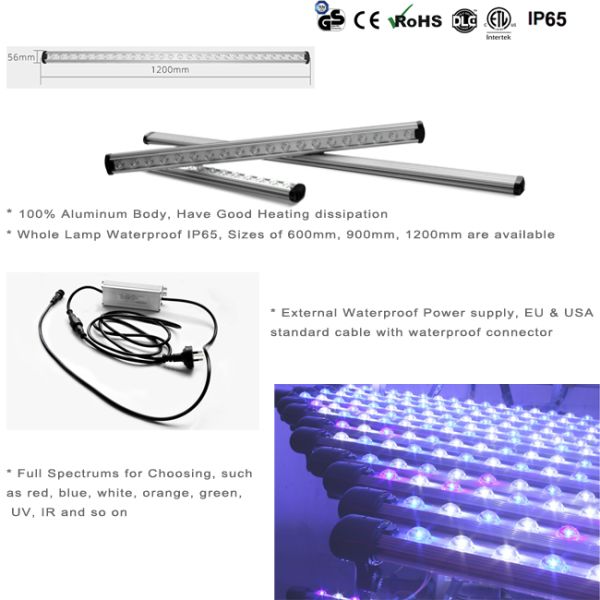 СИД 120км растет Адвокатура скорость 75 ватт вверх по медицинским заводам/овощу для парника