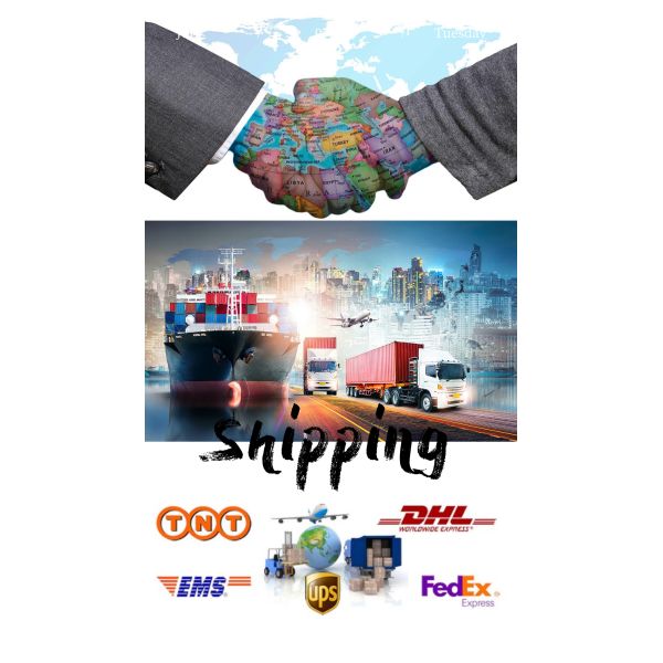 Iron Plastic Schalkmann M3000 Engine Foot Cushion Shock Absorber for Auto Engine Parts