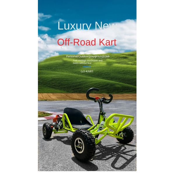 GO-Karts Adult off-road kart, fuel kart，Kincardine car support OEM