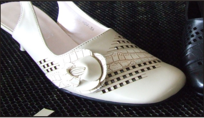 Cabo flexível da máquina de gravura do laser do couro do teste padrão da sapata e maneira esperta do processo