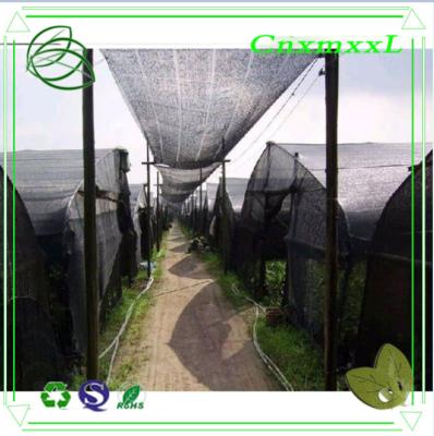 high quality PP woven sun shade net house farming in low price