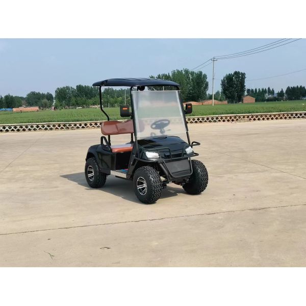 Off-road 2 Seater Golf Buggy Rechargeable Good Quality Golf Sightseeing Car