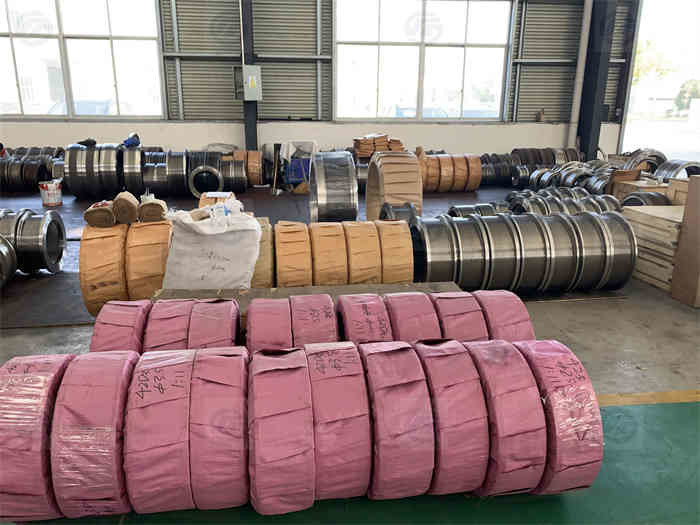 Ролик кольца лепешки биомассы 2 до 12mm умирает лепешка машинного оборудования питания делая машиной запасные части