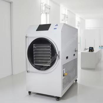 Strawberry Blueberry Fruit Freeze Drying Dryer Machine Fruit Vegetables Meat Pets Freeze Drying Machine