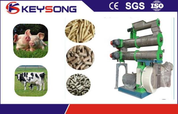Pig And Cow Animal Feed Making Machine , Full Automatic Pet Food Manufacturing Equipment