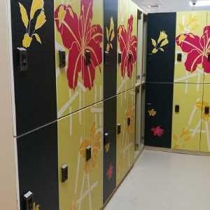 Gym E - Lock Shoe Storage Locker Colour Printing For SPA Senior Senior Clubs