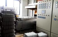 Mesh Belt 380V Electric Industrial Kiln For Annealing Glass