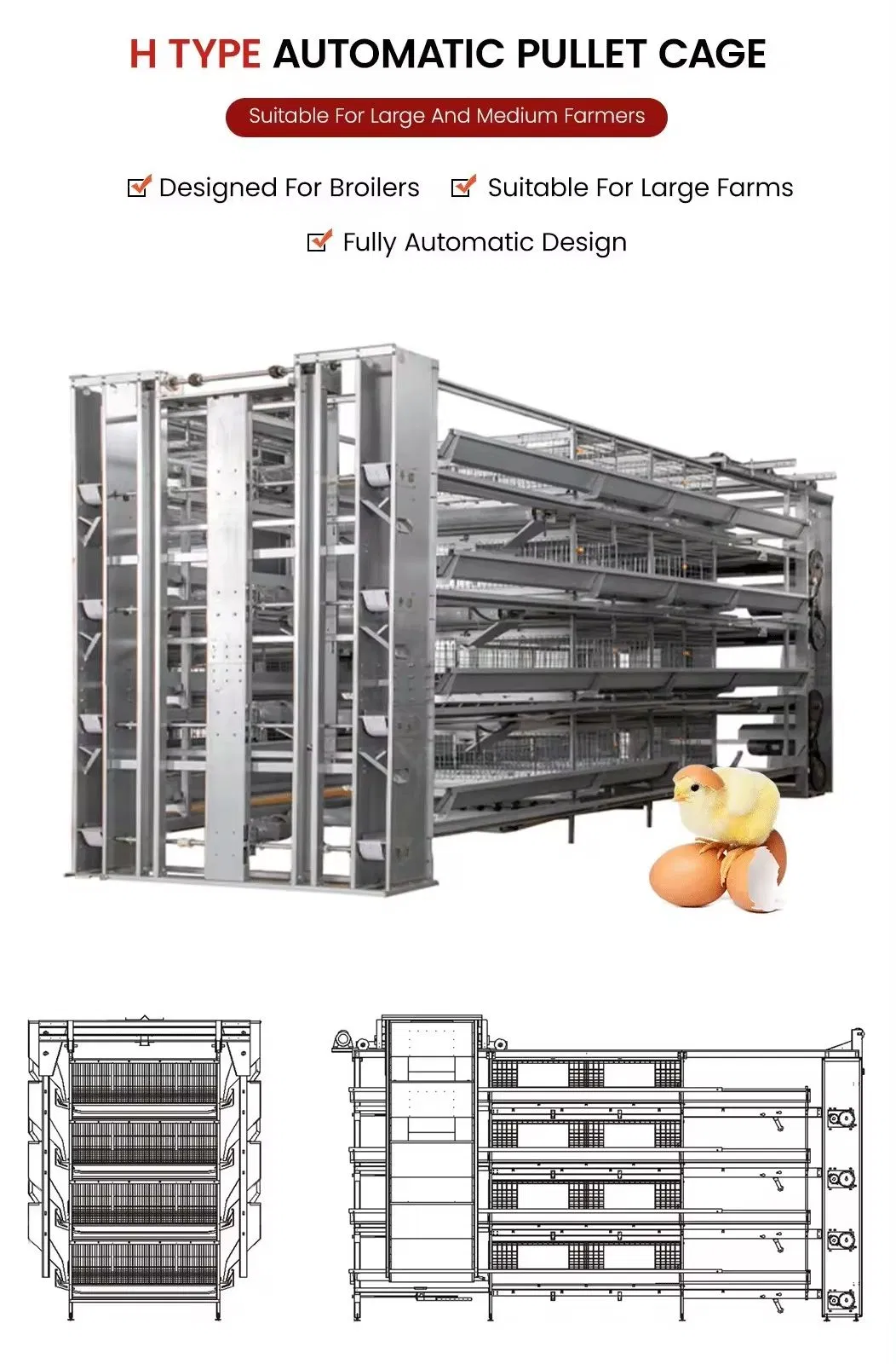 Customized H Type Layer Cage Automatic Poultry Chicken Layer Cage Galvanized Structure