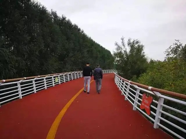 Анти- УЛЬТРАФИОЛЕТОВЫЕ зерна EPDM резиновые