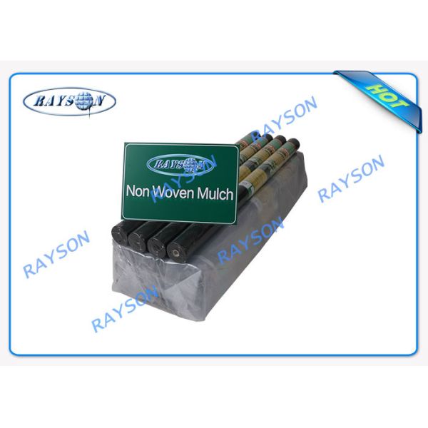 Breathable Polypropylene Agriculture Non Woven Fabric for Landscape Beds