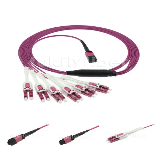 MPO/PC/F-LC/UPC Uniboot Multimode OM5 12F MPO Patch Cord