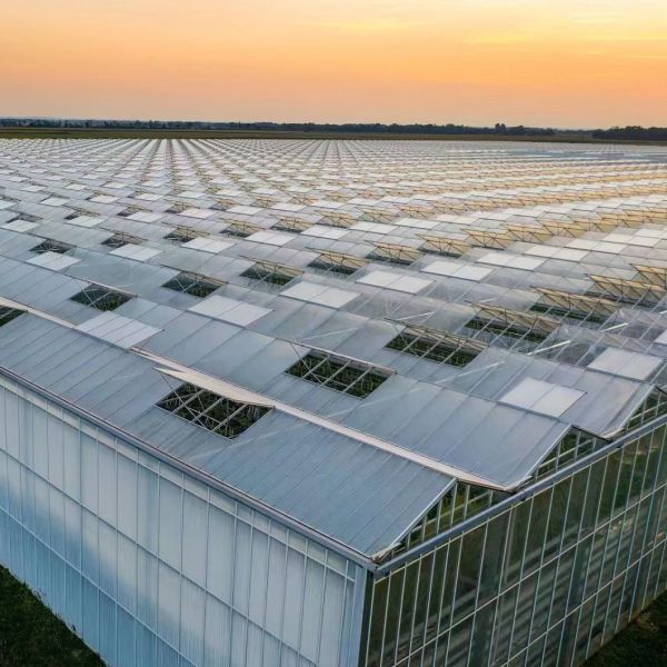 Метод выращивания гидропоники коммерческое отопление садовые стеклянные теплицы для растений