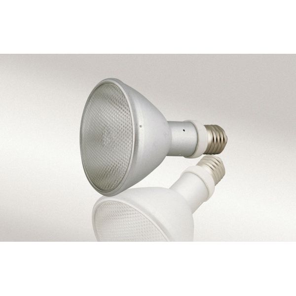 Sustainable Full Spectrum UVB Reptile HID Lamps Grade A PAR30 for Jungle and Desert Environments