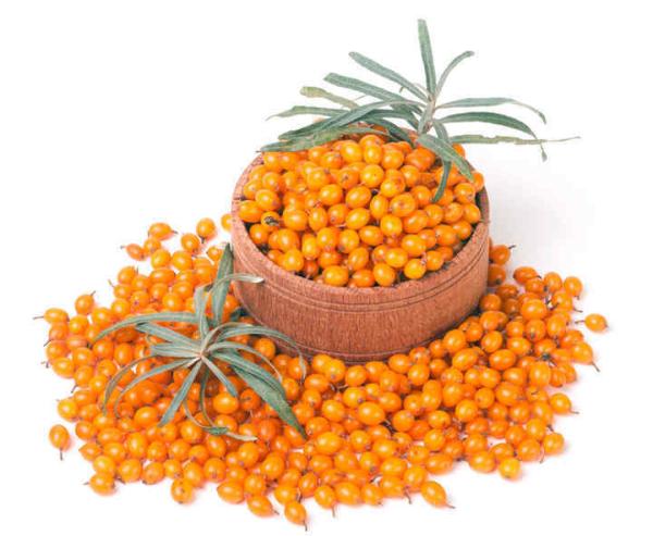 Origin China IQF Fresh Frozen Wild Sea Buckthorn First Class Sea-buckthorn Lingonberry Raspberry, Blueberry Mixed Berries
