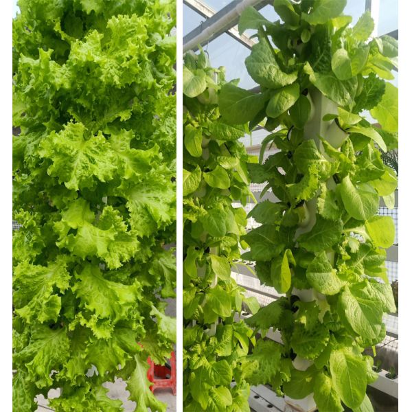 2023 Hot selling plastic pot hydroponic vertical garden artificial wall pot vertical garden 112+ Plants hydroponics vertical