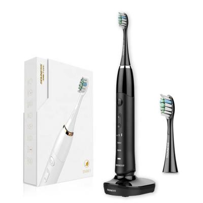 Hygiène bucco-dentaire brosse à dents électrique portable pour adultes 5 heures de charge Durée 30 jours