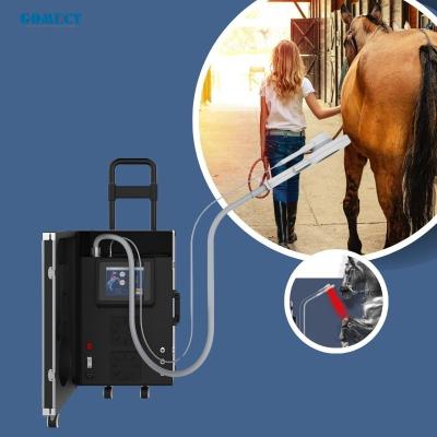 Professional PEMF Vet Horse Treatment Machine Magnetotherapy Device for Pain Relief