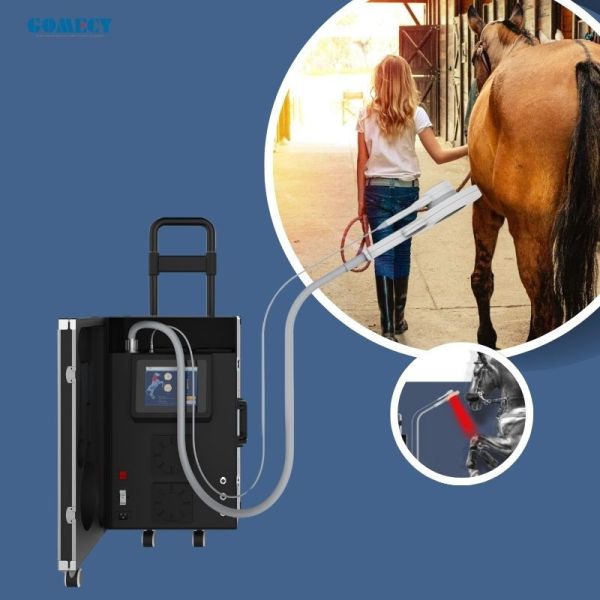 Máquina de tratamiento de caballos profesional de PEMF Veterinario Dispositivo de magnetoterapia para aliviar el dolor