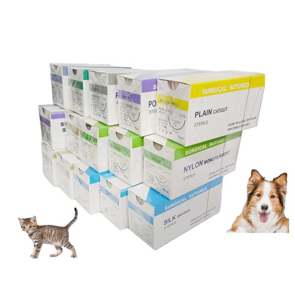 Veterinary Animal Hospital PDO Chromic Catgut Silk Nylon PGA 910 75cm Surgical Sutures With Sterile Needle Dog cat Pet Animal