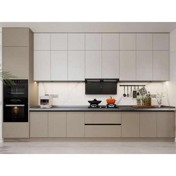 Matte Beige Stainless Steel Kitchen Cabinets with Black Stone Countertop