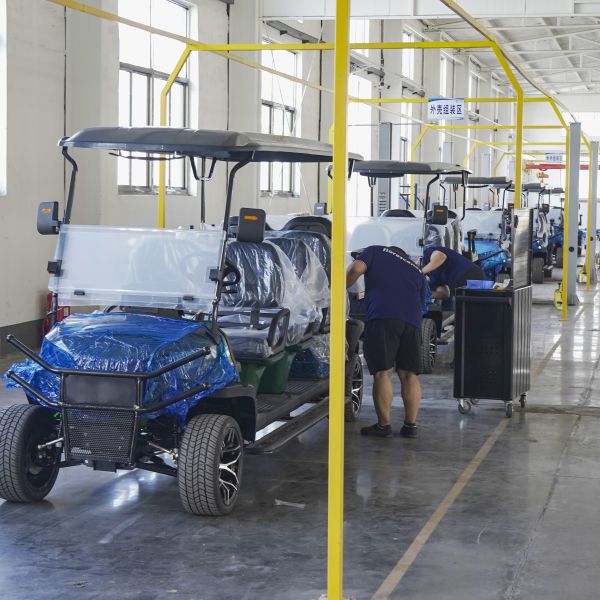 Electric 2 Seat Golf Cart with Cargo Box