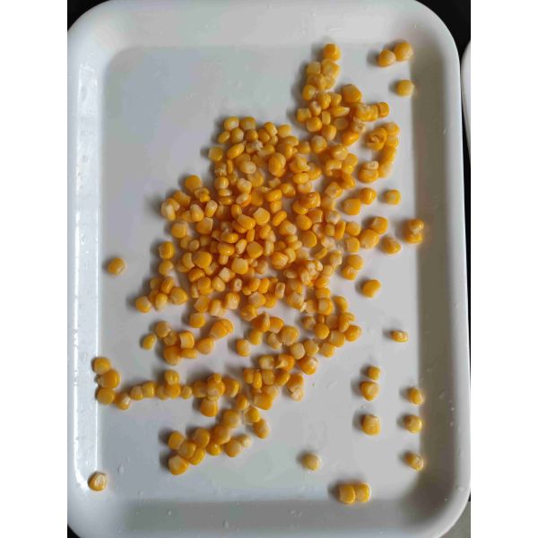 蛋白質2.3 Gを持つ真空パックのトウモロコシ24か月の保存性の