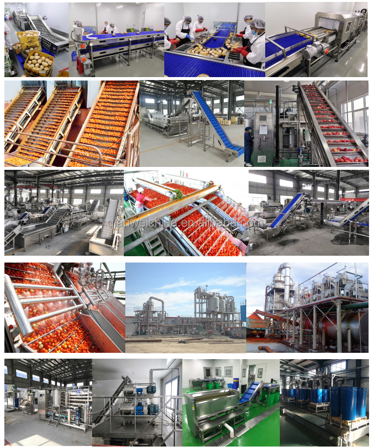 Cost Effective Tomato Sauce Making Machine Tomato Processing Machine Production Line