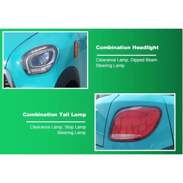 Raysince new design Adult electric car with right hand drive steering