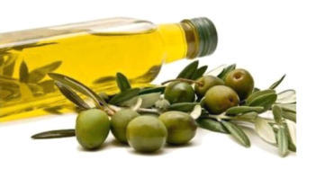Industrial Olive Oil Decanter Centrifuge for Olive Pomace Three Phase Separation & Oil Extraction