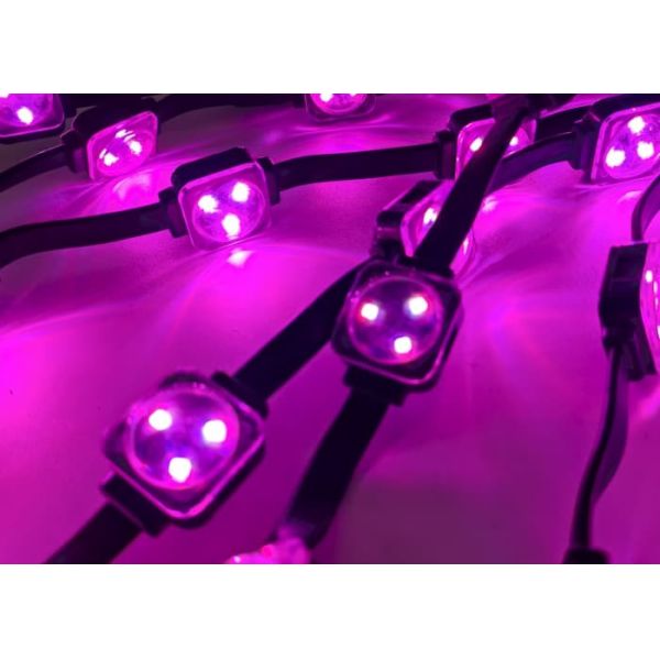 25mm Diameter DC12V IP67 Waterproof RGBW LED Point Light Outdoor PC Material Construction