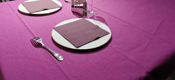 Polpa de madeira luxuosa do Virgin da toalha de mesa de 2ply 47gsm-51gsm Airlaid