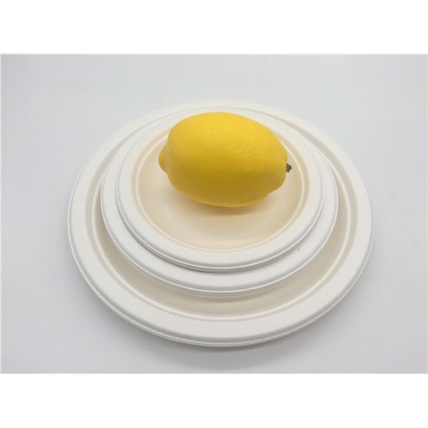 6 Inch  Microwavable Party Bagasse Disposable Plates