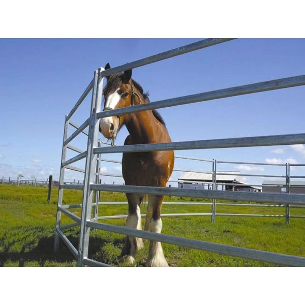 Покрытая силой сталь углерода загородки 1.8m трубы панели скотин высокая