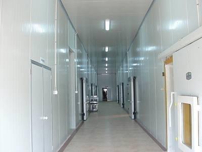 Medical Cold Storage Panel Food Slaughtering Cold Chain Special Board Purification Board
