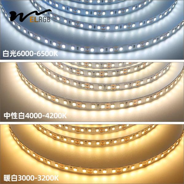 10mm 240 leds Self Adhesive LED Strip 22W/M Quente Branco Frio Branco Led Strip