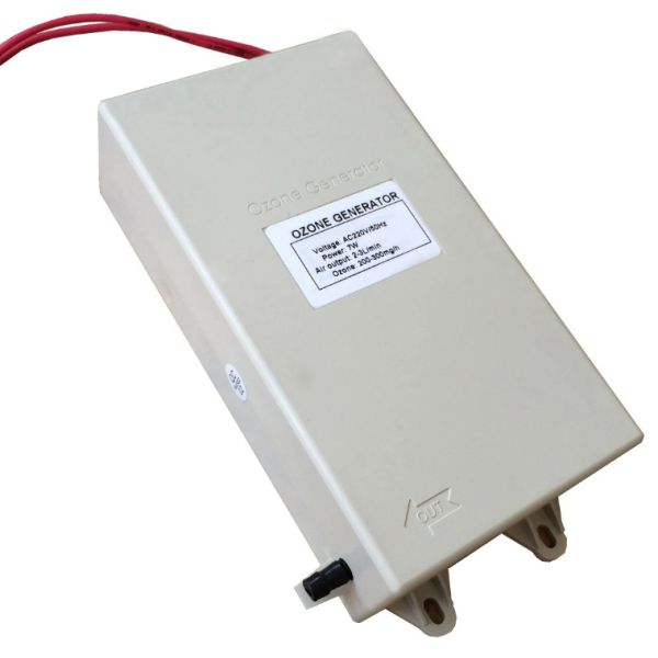 200-300 mg/hr Ozone Output Ozone Generator Cell for Fruit and Vegetable Detoxification
